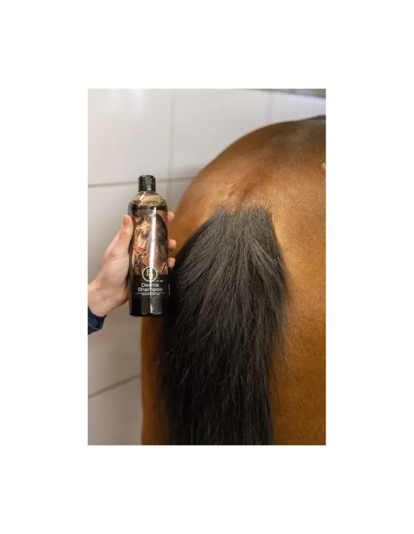 BR_Derma_Shampoo_500ml