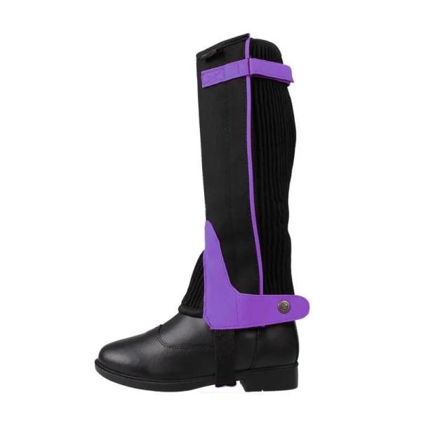 Chaps_Suede_purple