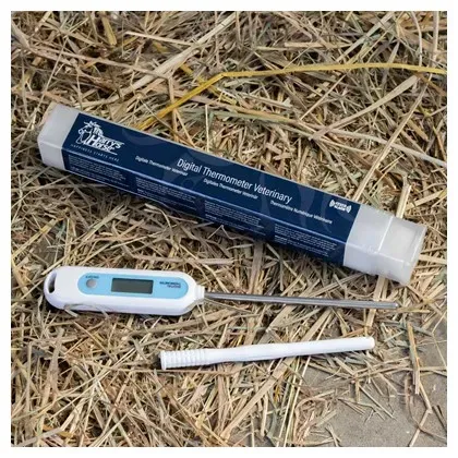 Digitale_Thermometer_Veterinair