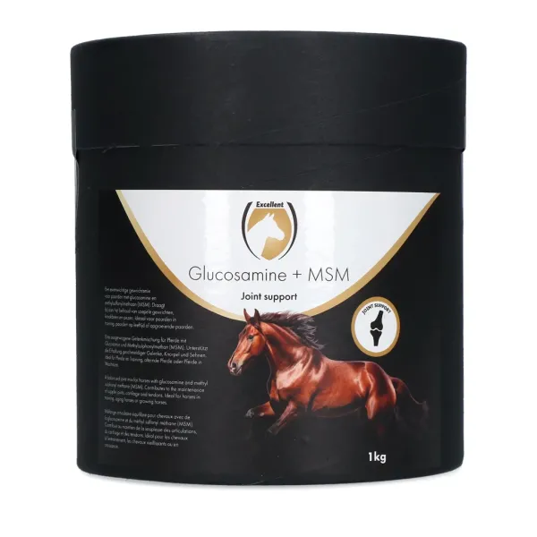 Excellent_Glucosamine___MSM