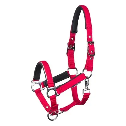 Halster_mini_veulen_Barberry