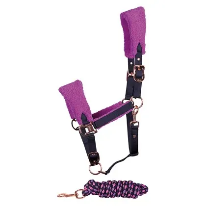 Halsterset_LouLou_Royce_bright_violet