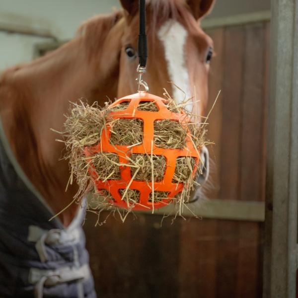 Hay_slowfeeder_fun___flex_Oranje