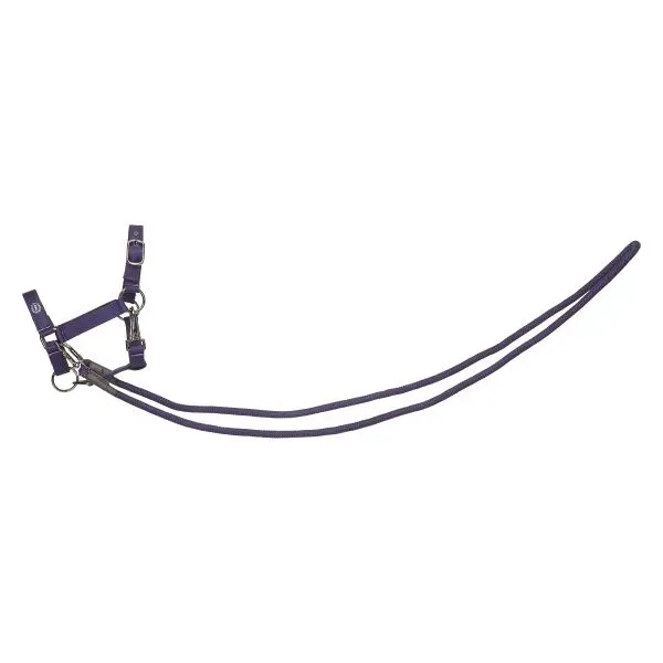 Hobby_Horse_headcollar_Free_Ride_IRHFree_Spirit