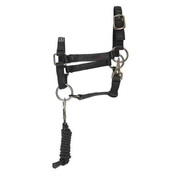 Hobby_Horse_headcollar_IRHFree_Spirit_1