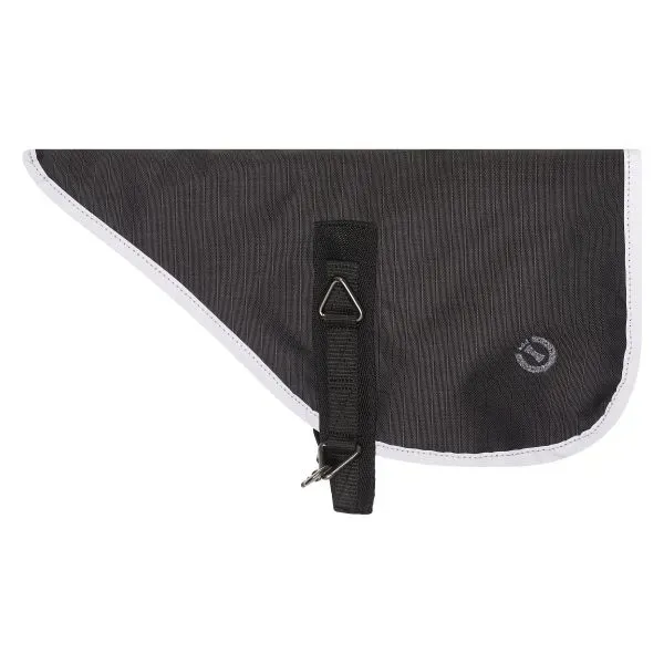 Hobby_Horse_outdoor_blanket_IRHFree_Spirit_2