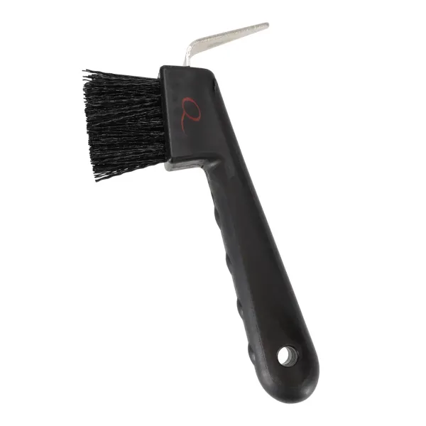 Hoevenkrabber_Oakleigh