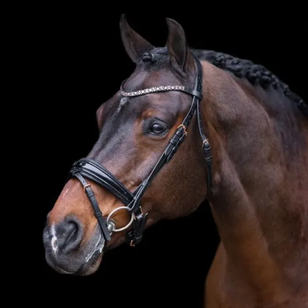 Hoofdstel_IRH_Olympia___Black_Rose_gold