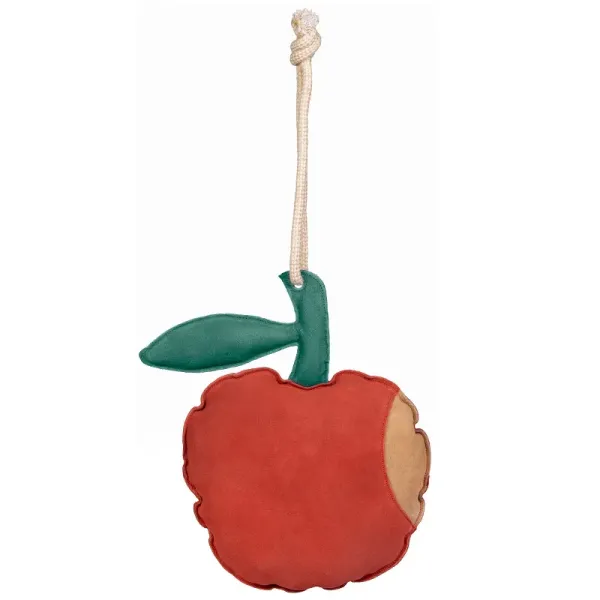Speelgoed_Apple