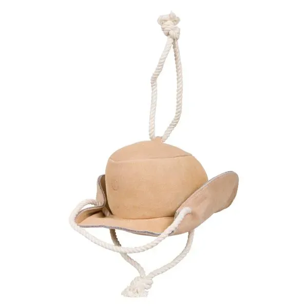 Stable_buddy_IRHCowboy_hat