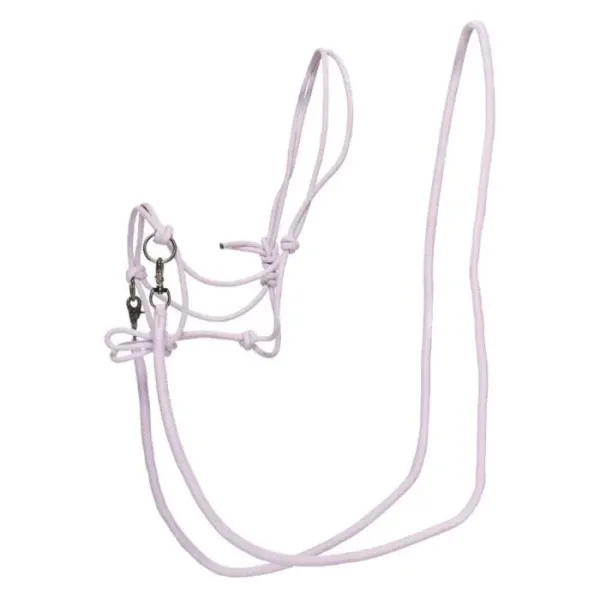 Touwhalster_IRHFree_Ride_Wisteria