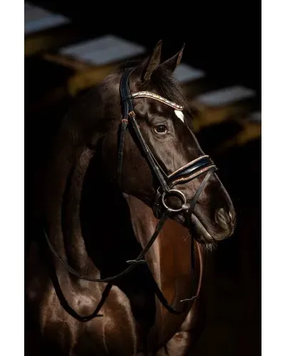 _HB_Showtime_Copper_Sky