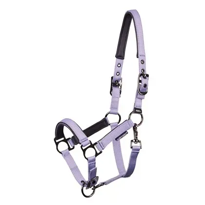 veulenhalster_pepper_persian_violet