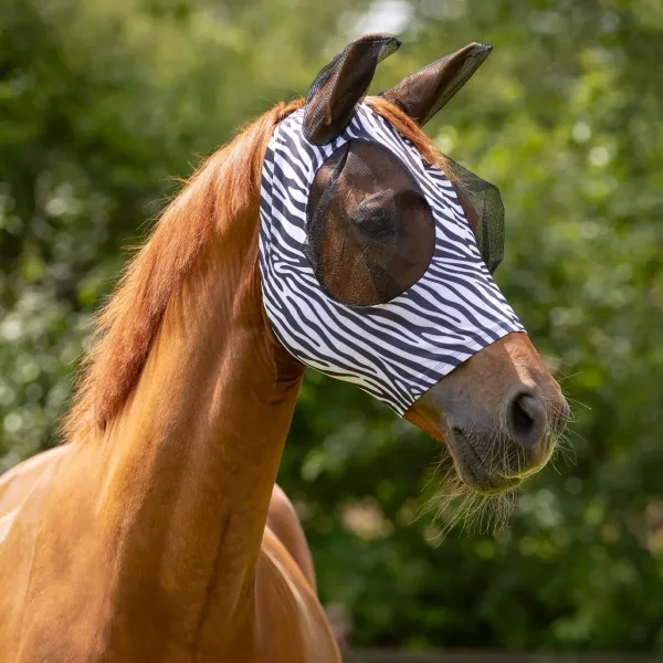 vliegenmasker_super_bug_Zebra