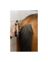 BR_Derma_Shampoo_500ml