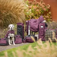 Beloningstas_collection_3