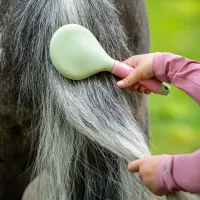Borstelset_Lucky_Start_7