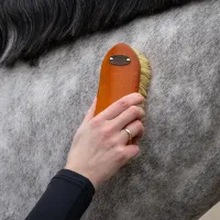 Borstelset_Royal_4