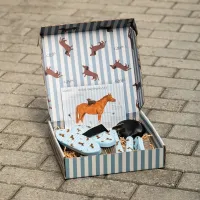 Borstelset_Stable_buddy_3