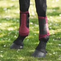 Brushing_boots_IRHCloud_Dancer_1