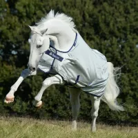 Bucas_Power_Turnout_Light_Silver