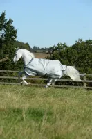 Bucas_Power_Turnout_Light_Silver_1