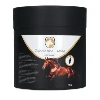 Excellent_Glucosamine___MSM