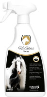 Excellent_Hi_gloss_antiklit_spray