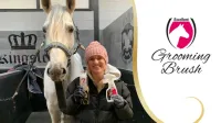 Excellent_Horse_Grooming_Brush_Large_zwart_Maat_M_2