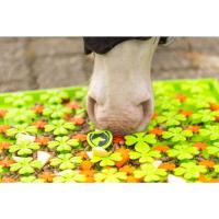 Excellent_Horse_Snuffle_Mat_1