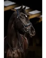 HB_Showtime_Dark_Eagle_1