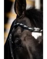 HB_Showtime_Dark_Eagle_2