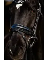 HB_Showtime_Dark_Eagle_3