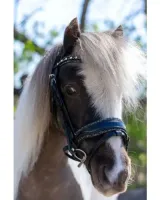 HB_Showtime_Welsh_Bridle_Rocky_Glitter