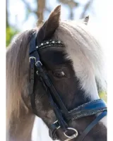 HB_Showtime_Welsh_Bridle_Rocky_Glitter_1