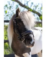 HB_Showtime_Welsh_Bridle_Rocky_Glitter_2