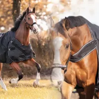 Halifax_deken_turnout_2_in_1_50gr_11