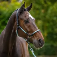 Halster_HVPFranka_Aqua_sky_1