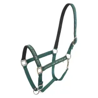 Halster_HVPNena_duck_green