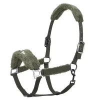 Halster_HVPTeddy_forest_green
