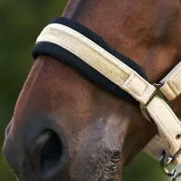 Halster_IRHJewel_Mesh_Light_Olive_2