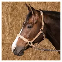 Halster_leder_Cremello_2