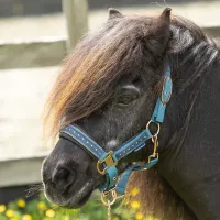 Halsterset_Crystal_tapestry_1