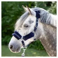 Halsterset_Denici_Cavalli_Purple_Passion_Crystal_1