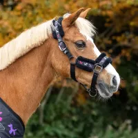 Halsterset_Isalyn_1