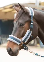 Halsterset_Just_Ride_Retro_Soft