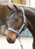 Halsterset_Just_Ride_Retro_staalblauw