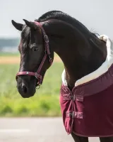 Halsterset_Lily_Burgundy_3