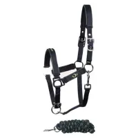 Halsterset_STOUT__Lime