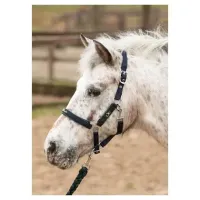 Halsterset_STOUT__Lime_1